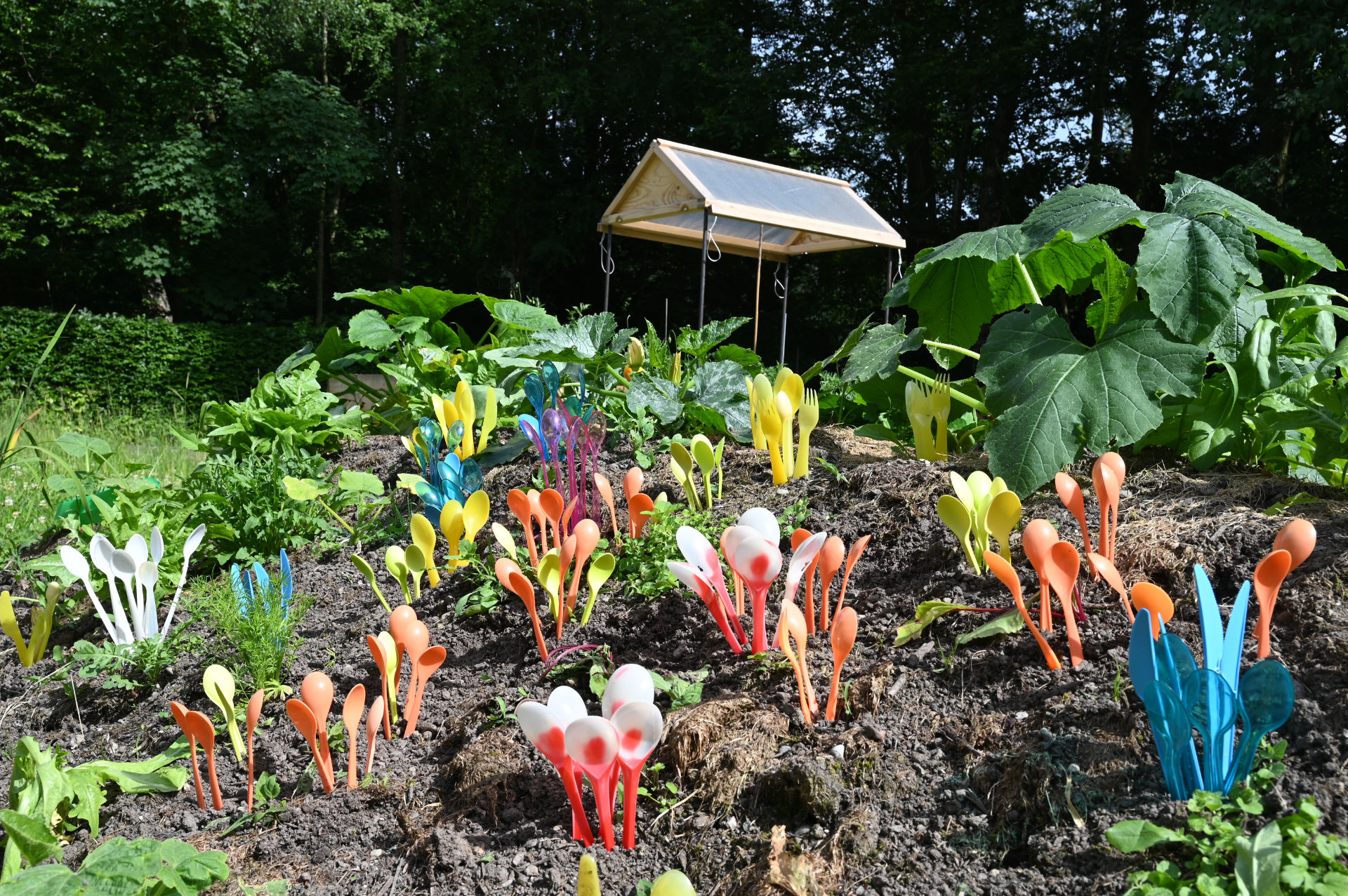 Konsumblüten, PHBern