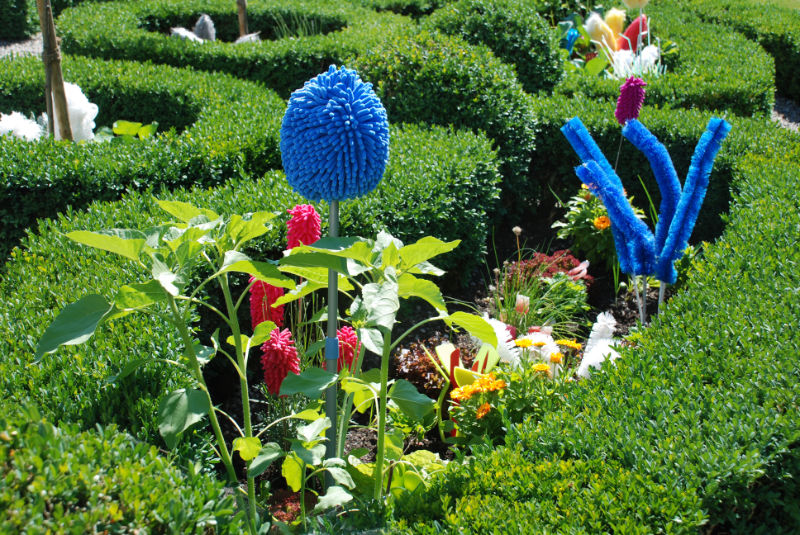 In der Bildansicht öffnen (Bild: sachseln)